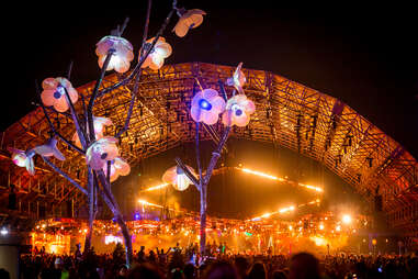 Electric Daisy Carnival