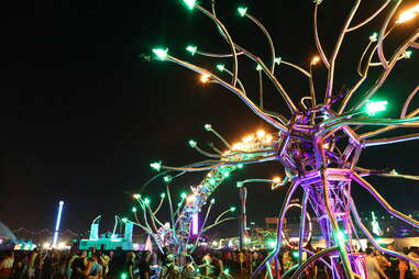 Electric Daisy Carnival