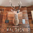 Deer at Waldron Lodge, Dallas TX