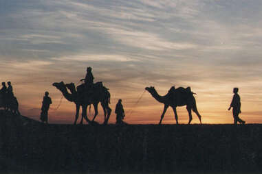 Adventure Travel Agency's India camel safari