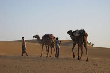 Adventure Travel Agency's India camel safari