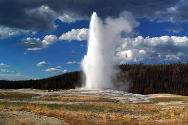 Yellowstone Beer Adventure