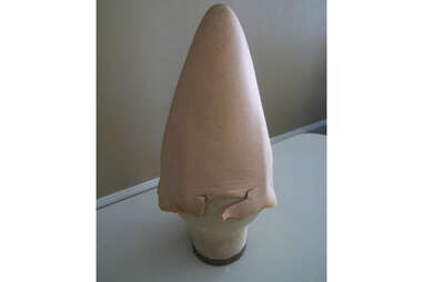 larraine newman conehead cone