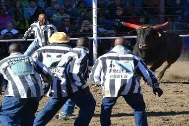 Angola Prison Rodeo