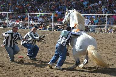 Angola Prison Rodeo