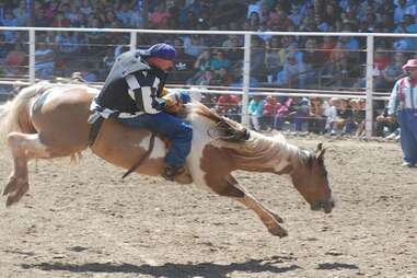 Angola Prison Rodeo