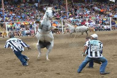 Angola Prison Rodeo