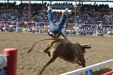 Angola Prison Rodeo