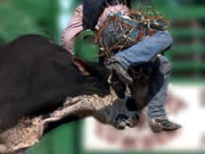 Prison Rodeo - Thrillist Nation