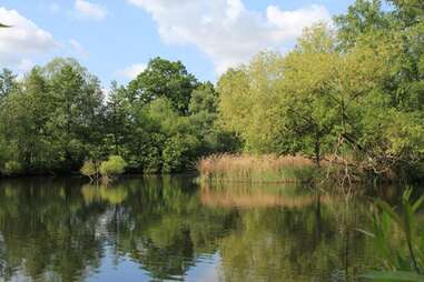 hampstead heath ponds london