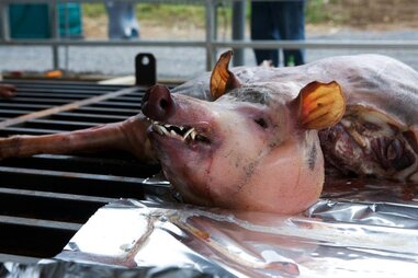 Pig Roast