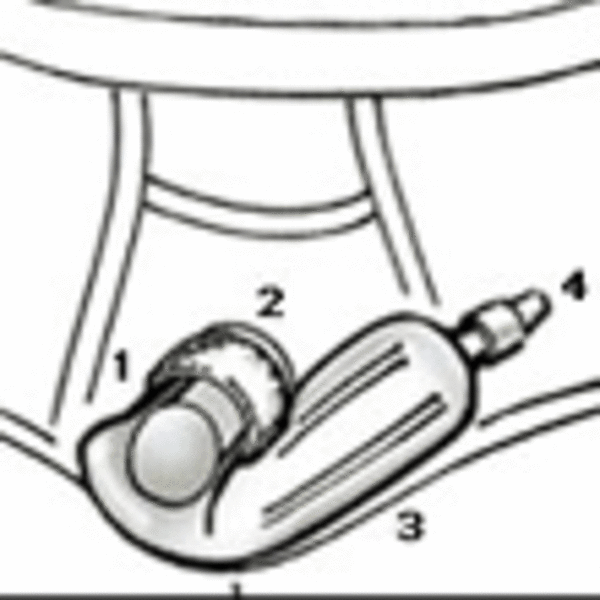 Condom Catheter Thrillist Las Vegas