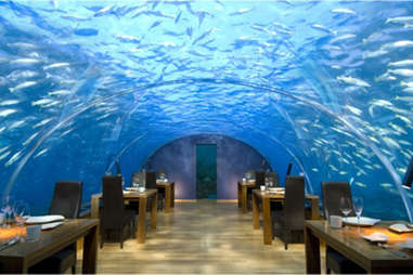 Ithaa Undersea Restaurant, The Maldives