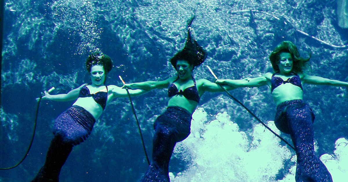 Mermaid water parks in Florida Thrillist
