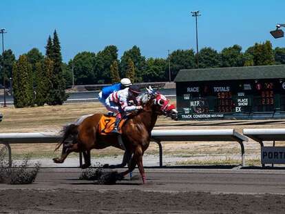 Portland Meadows Racing Portland Meadows: A Restaurant in Portland, OR - Thrillist
