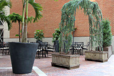 Patio at Society on High