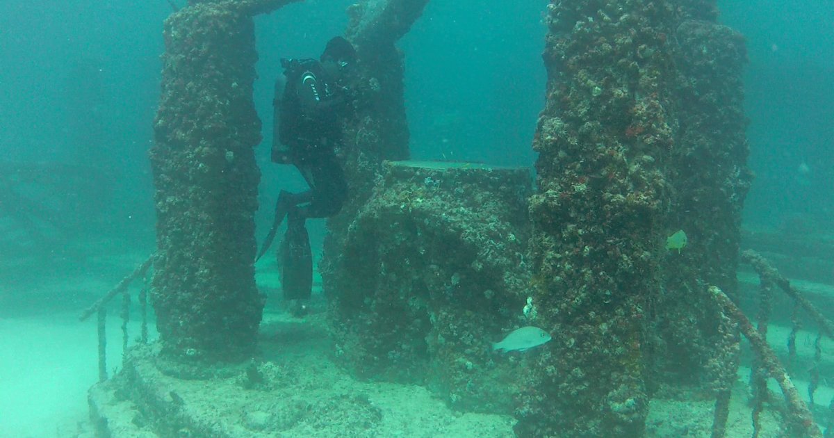 Neptune Memorial Reef A Nation, FL Venue.