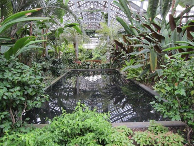 Garfield Park Conservatory: A Other in Chicago, IL - Thrillist