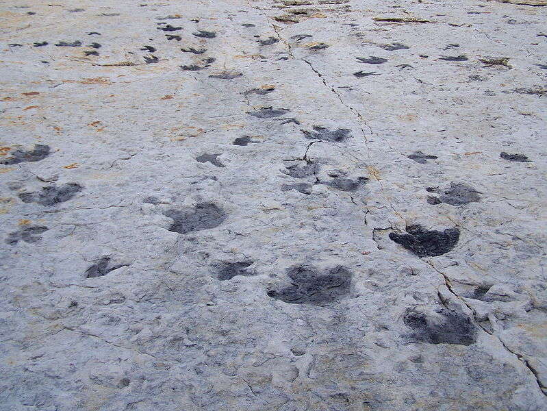 Dinosaur Ridge: A Other in Denver, CO - Thrillist