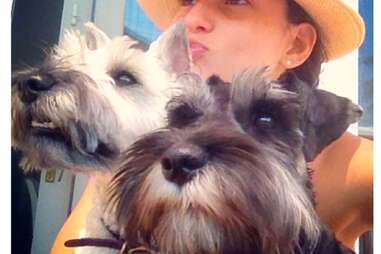 Max and Mort, dog of the Hamptons