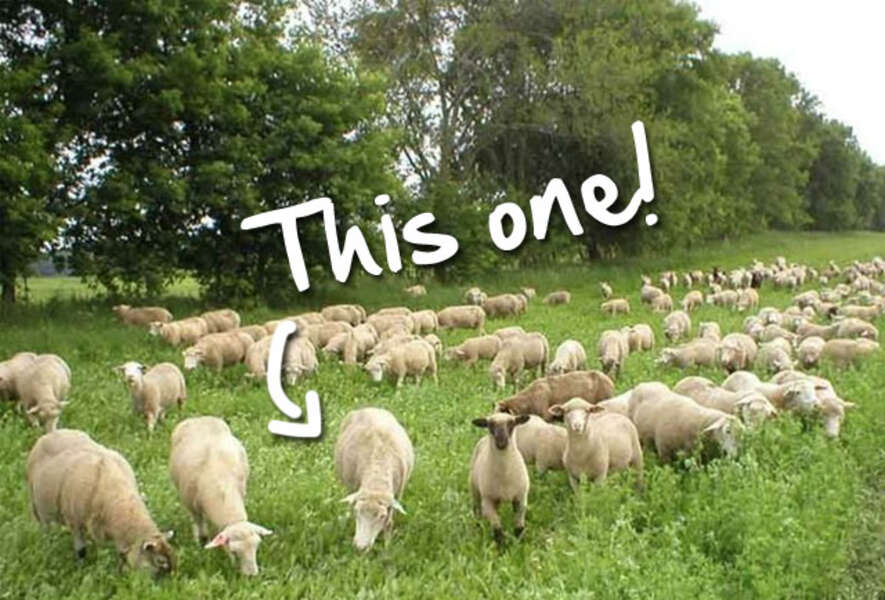 The Farm A Restaurant in Downing, Wisconsin Thrillist