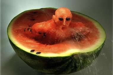 Watermelon swimmer. 