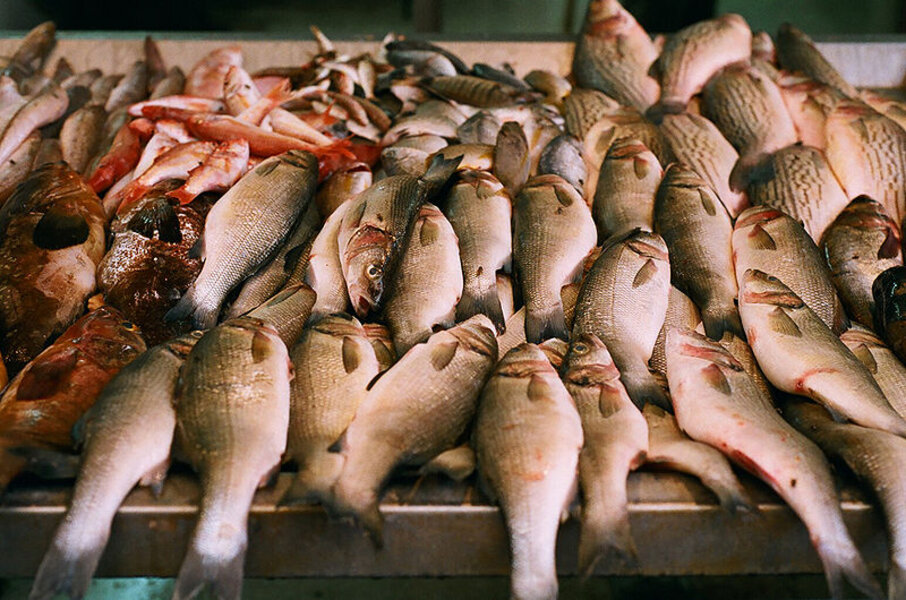 Cape Cod Fish Share - Eat - Thrillist Boston