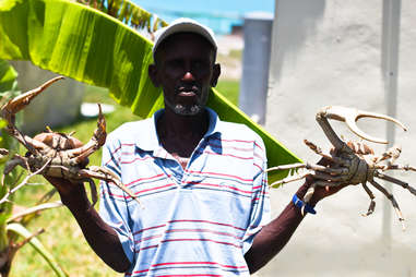 Man holding crabs