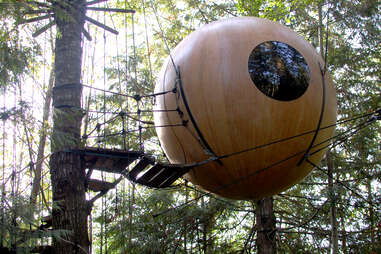 Free Spirit Sphere in the woods