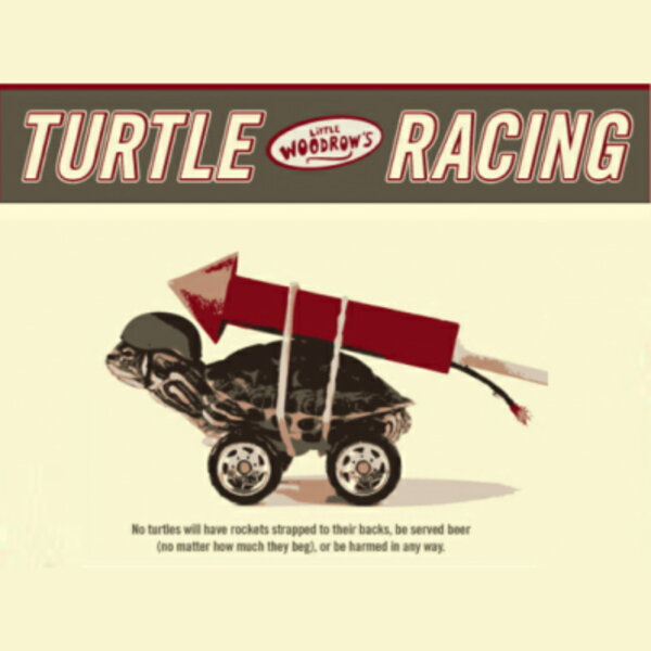 Turtle Racing Bar Turtle Racing at Little Woodrow's - Thrillist Austin