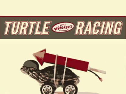 Turtle Racing at Little Woodrow's - Thrillist Austin