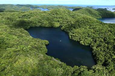 Jellyfish Lake Palau's Southern Lagoon