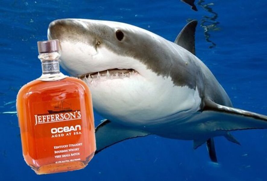 Shark said. Drink like a Fish.