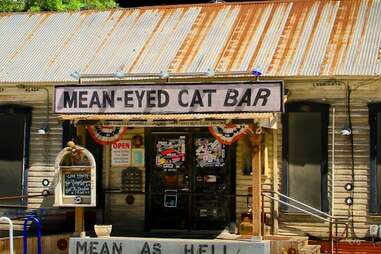 Mean-Eyed Cat exterior