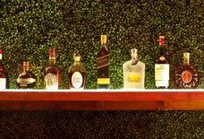 South Pointe Hamptons