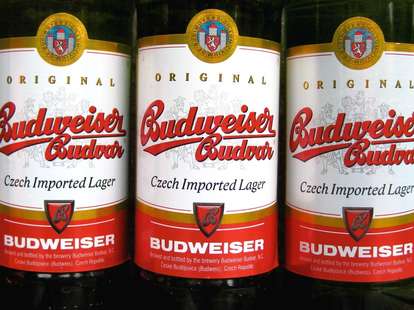 Budvar beer