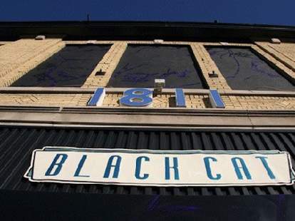 black cat dc