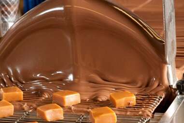 chocolate