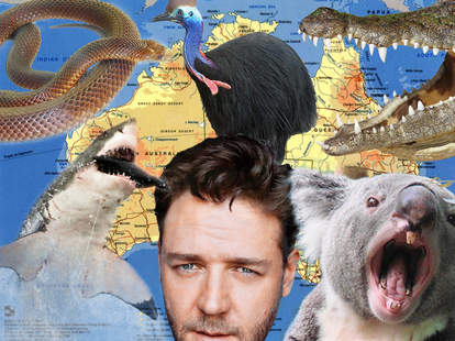 Things In Australia That Will Kill You Animals That Will Try To Kill You Thrillist Nation