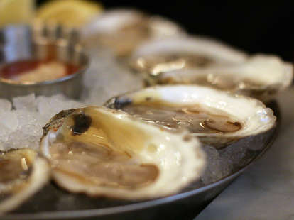 Oysters