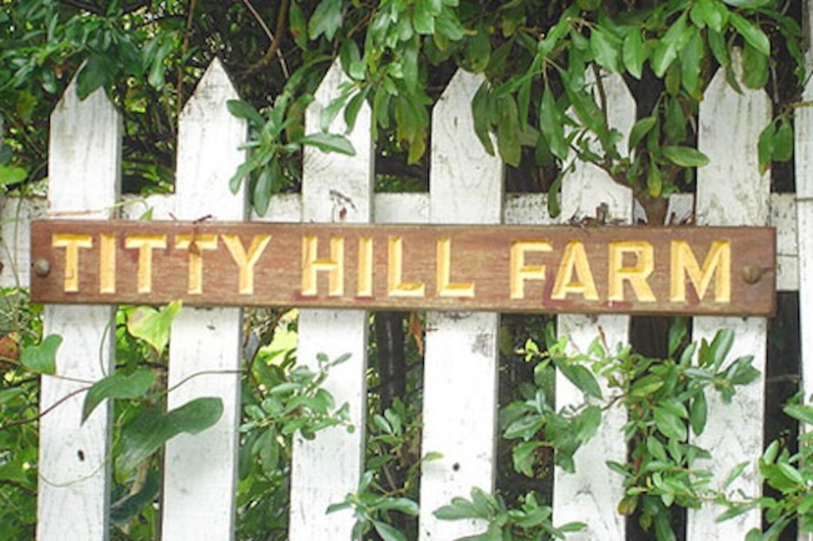 Unique Town Names NastyZ28