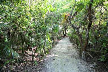 Plantation run at Parrot Cay by COMO