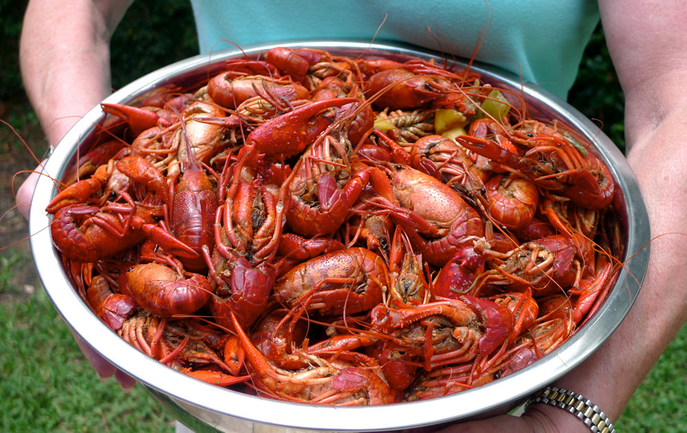 New Orleans Food - Best Places to Eat Jambalaya, Pralines, and Other