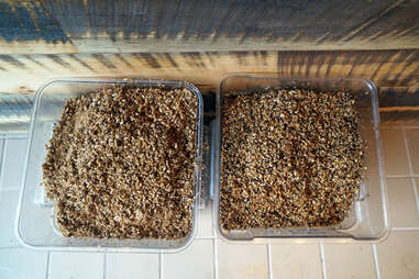 Spent grains at Hopsters Brew & Boards